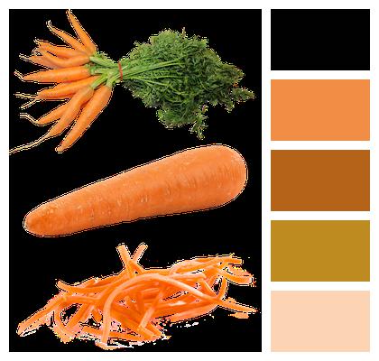 Carrot Isolated Food Image