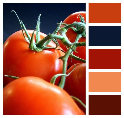 Tomatoes Healthy Vegetables Image