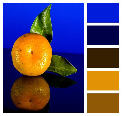 Fruit Orange Tangerine Image
