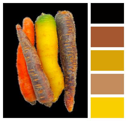Carrots Rainbow Food Image