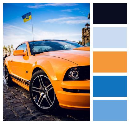 Ukraine Sports Mustang Image