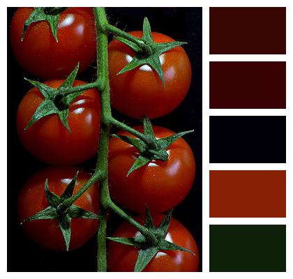 Tomatoes Vegetables Red Image