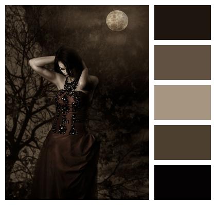 Moonlight Gothic Monochrome Image