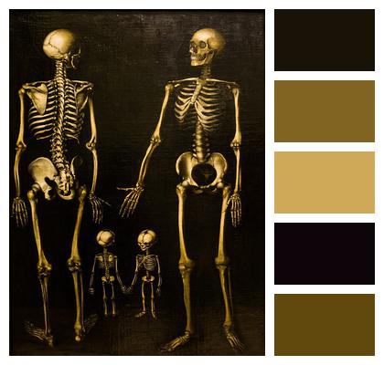 Family Box Skeletons Image