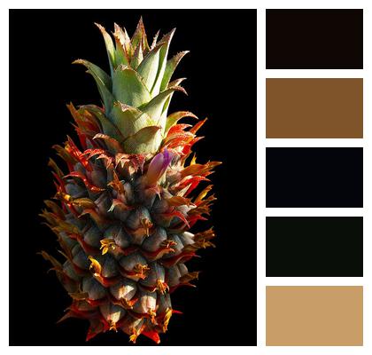 Pineapple Fruit Image