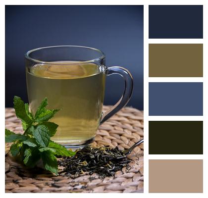 Tea Herbs Mint Image
