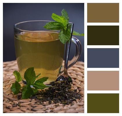 Tea Herbs Mint Image