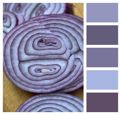 Purple Cooking Onion Image