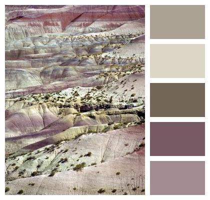Desert Painted Nature Image