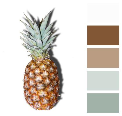Tropical Pineapple Fruit Image