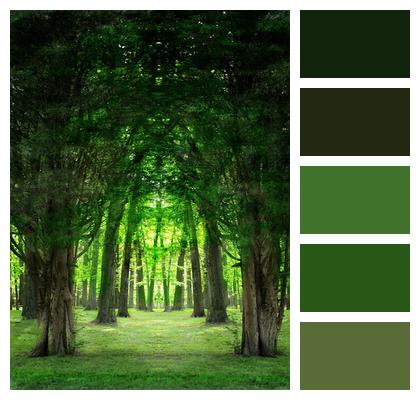 Light Trees Green Image