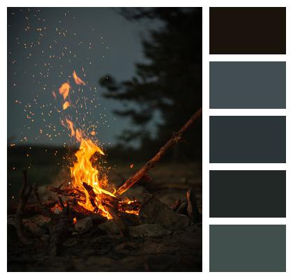 Campfire Bonfire Flame Heat Image