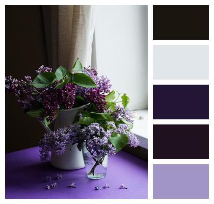 Bloom Purple Flower Image
