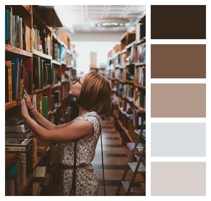 Shelf Rack Books Image