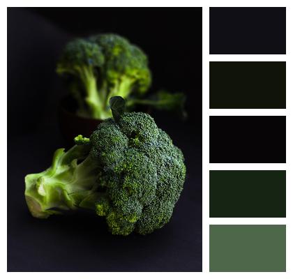 Fresh Vegetable Broccoli Image