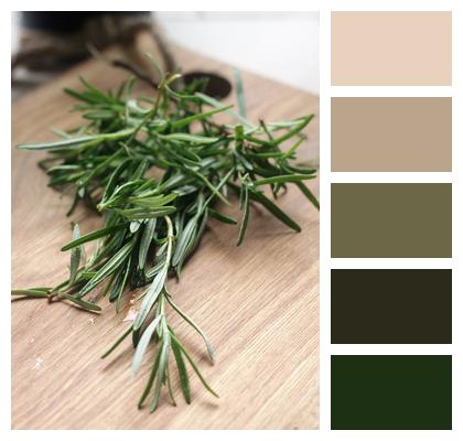 Rosemary Green Herbs Image