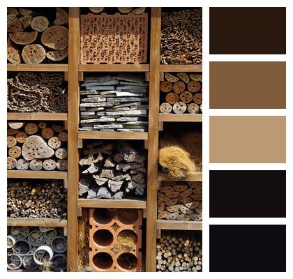 Wood Insects Hibernate House Image