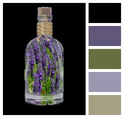 Plant Lavender Bottle Image