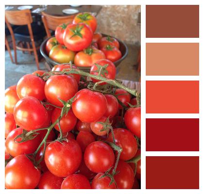 Organic Tomato Red Image