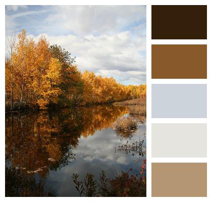 Autumn Forest Lake Image