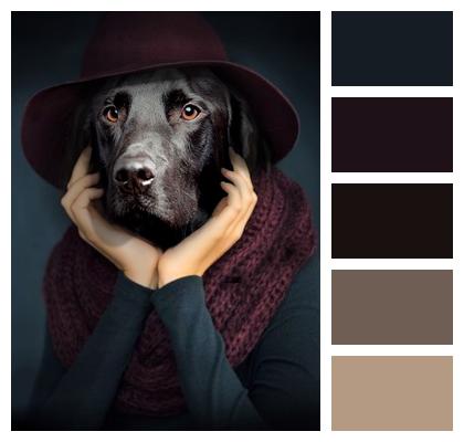 Thinker Dog Portrait Image