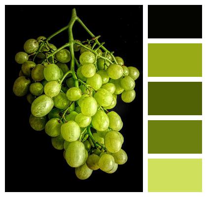 Grape Fruit Vine Image