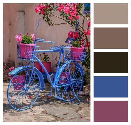 Bicycle Basket Flower Image