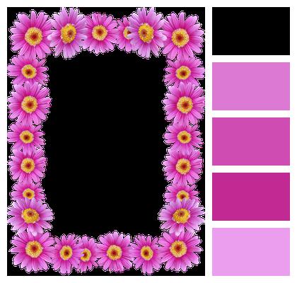 Frame Daisies Border Image