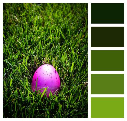 Green Egg Pink Image