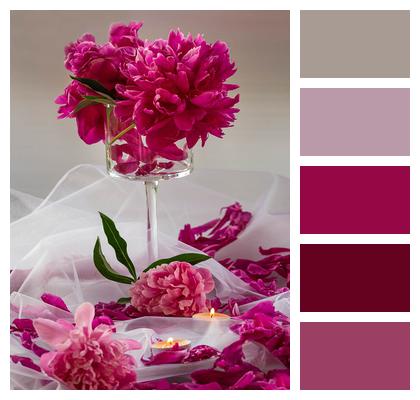 Peonies Peony Cereal Image