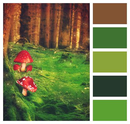 Forest Fantasy Mushrooms Image