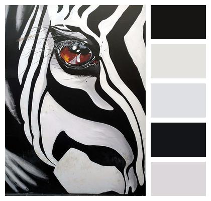Painting Zebra Graffiti Image