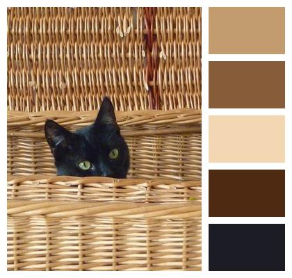 Cat Basket Black Image