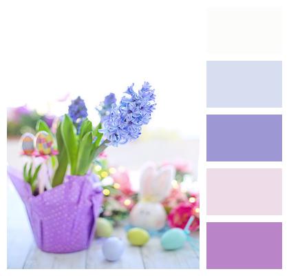 Easter Purple Hyacinth Image