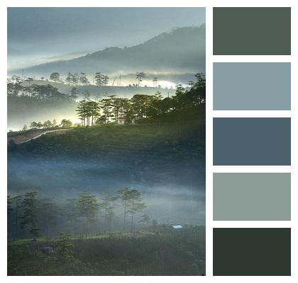 Vietnam Dawn Cloud Image