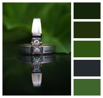 Jewelry Ring Wedding Image