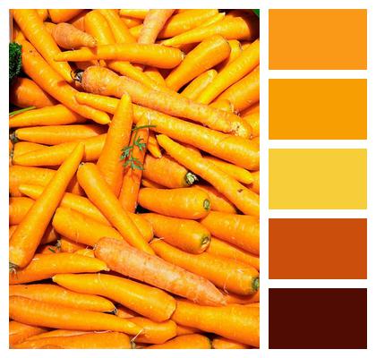 Carrots Healthy Vegetables Image