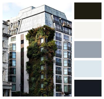 London Building Greening Image