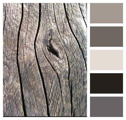 Grain Wood Texture Image