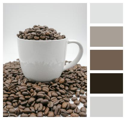 Mug Coffee Seeds Image