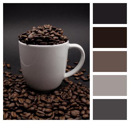 Coffee Mug Seeds Image