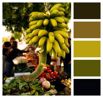 Fruit Vegetable Market Image