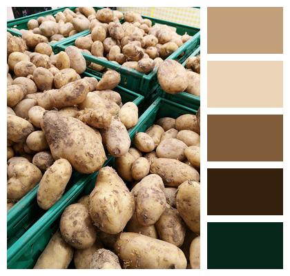 Soil Vegetable Potatoes Image