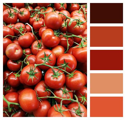 Tomato Red Materials Image