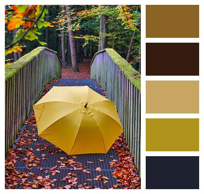 Bridge Forest Umbrella Image