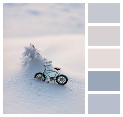 Bicycle Snow Miniature Image