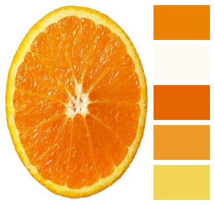 Slice Orange Juice Image