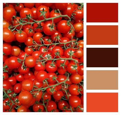 Healthy Tomatoes Vegetables Image