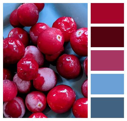 Fruit Cranberries Red Image