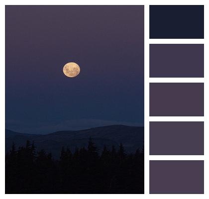 Night Moon Landscape Image
